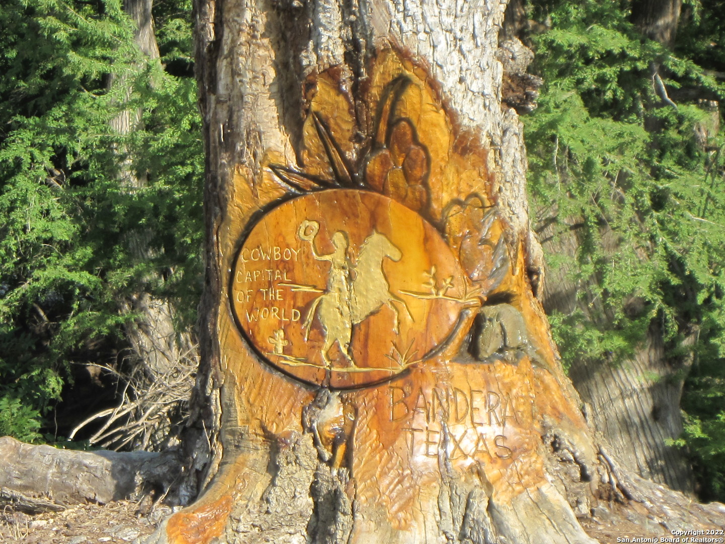 19-20 Cedar Bandera, TX 78003 - Photo 6 of 8