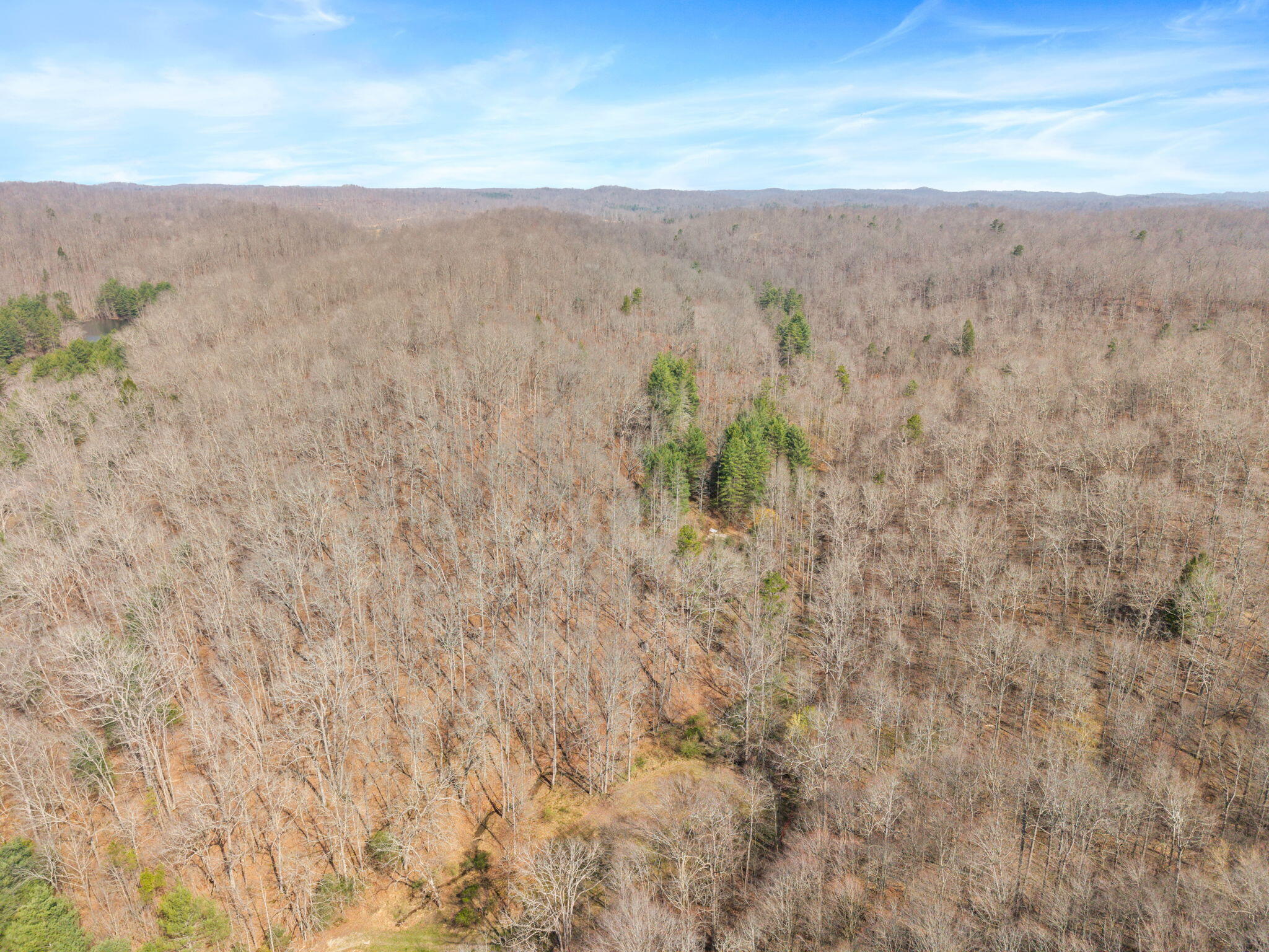 1230 Possum Trot Road Manchester, KY 40962 - Photo 13 of 25 16-web-or-mls-DJI_20260321114837_0039_D