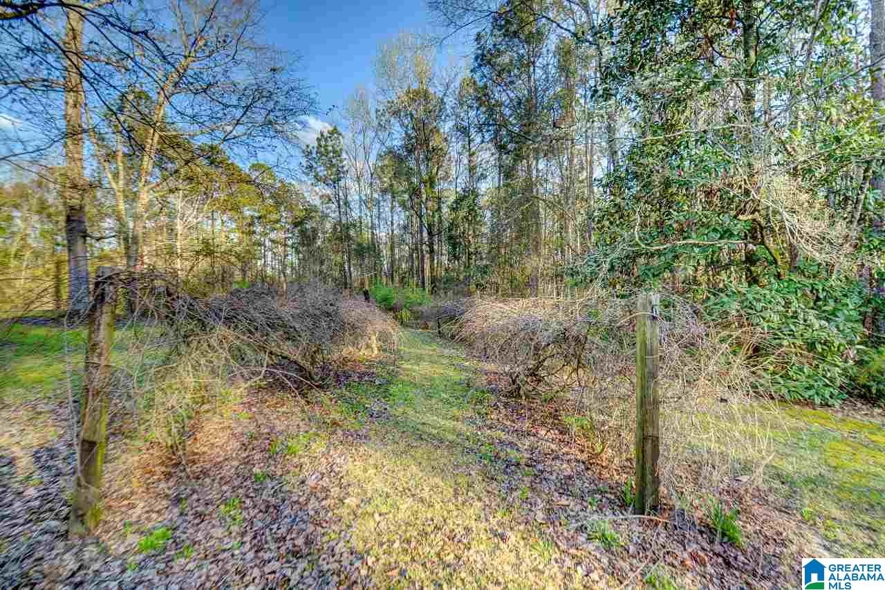 1351 Hinkle Road Clanton, AL 35045 - Photo 10 of 36
