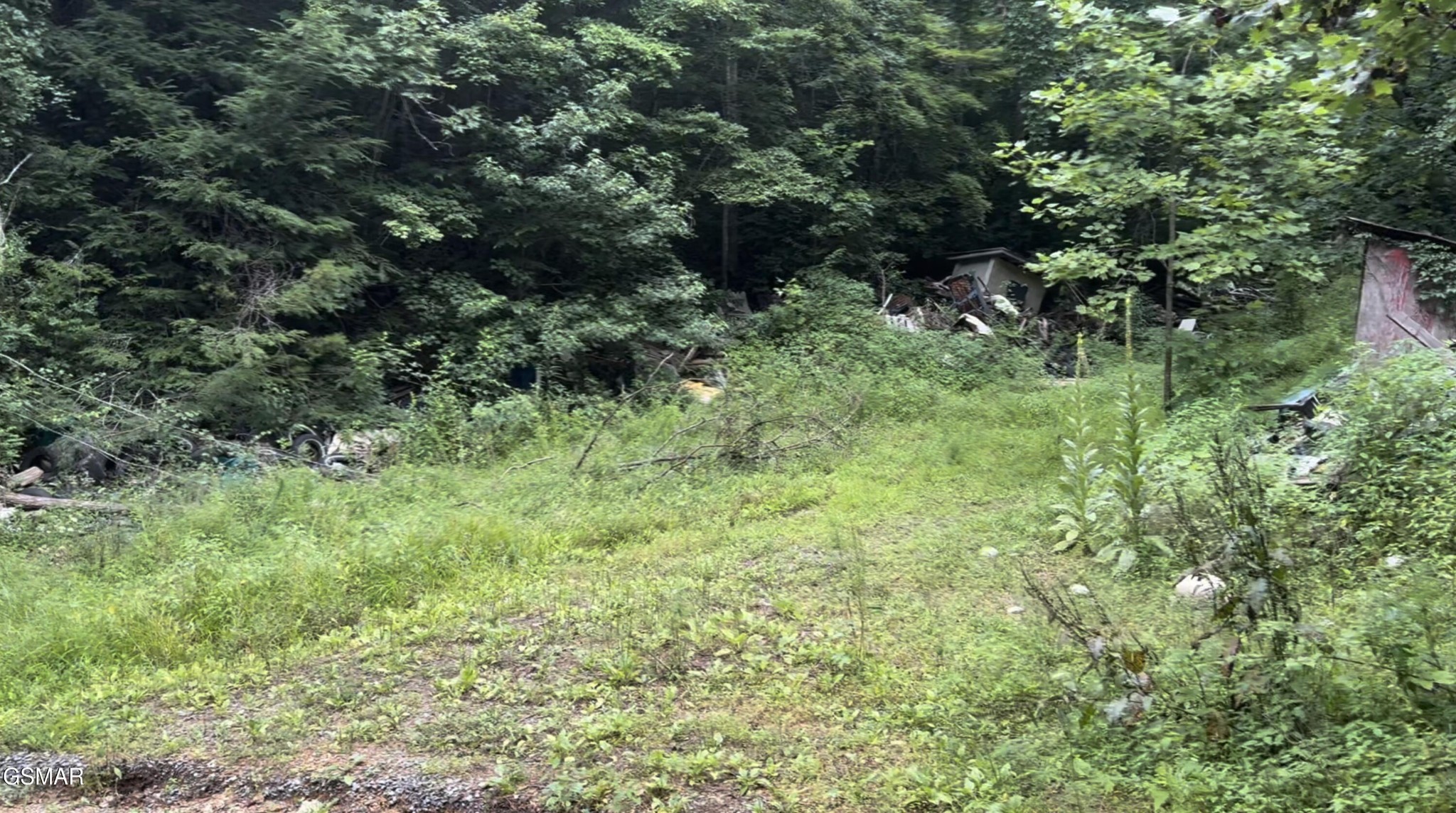 1210 Laurel Lick Road Pigeon Forge, TN 37862 - Photo 14 of 15