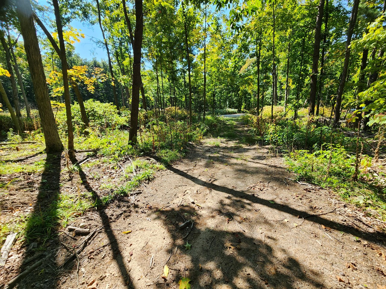 Lot F North Behler Road Bailey, MI 49303 - Photo 12 of 20