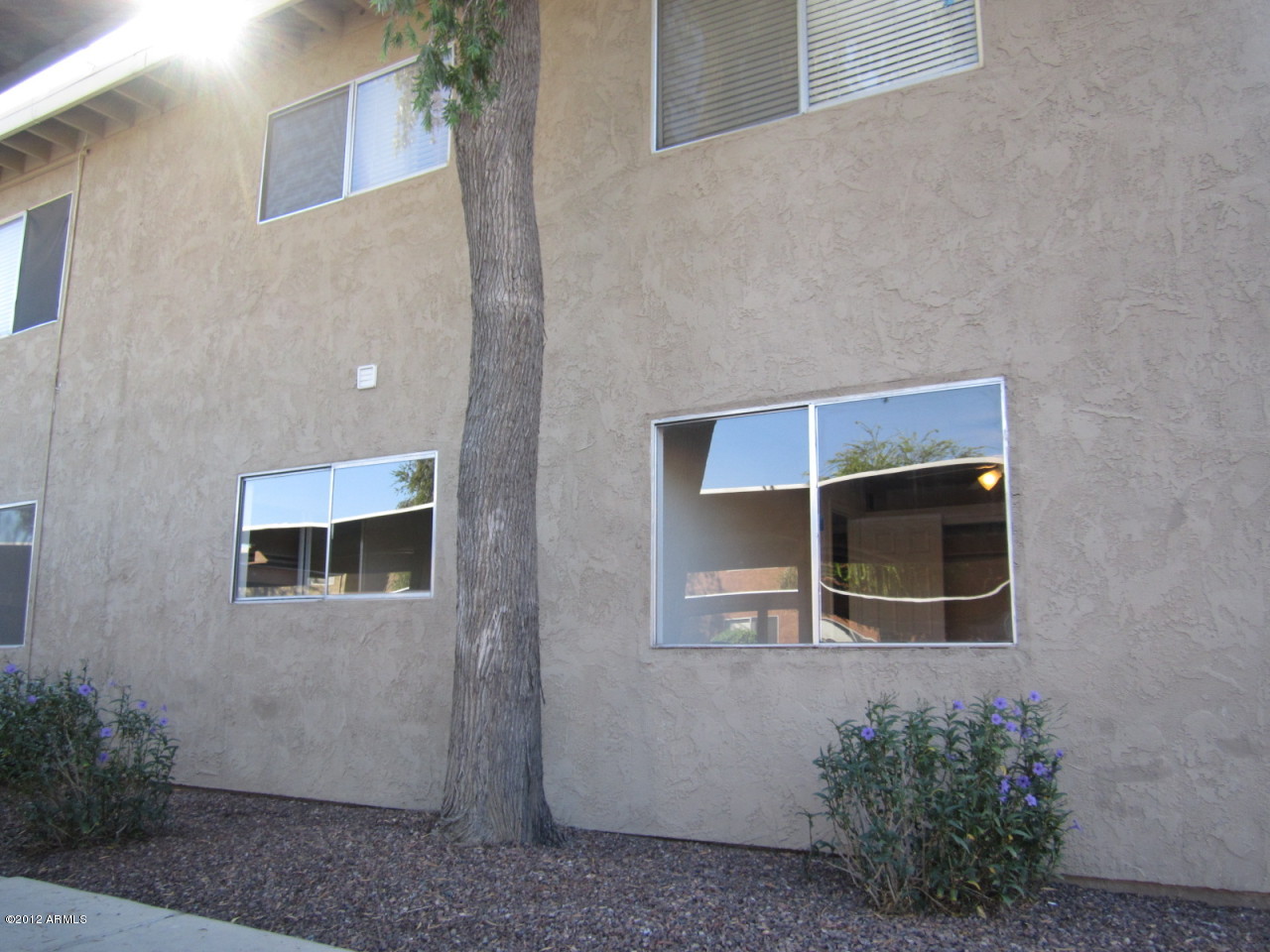 424 West Brown Road, Unit 140 Mesa, AZ 85201 - Photo 3 of 8 IMG_7469