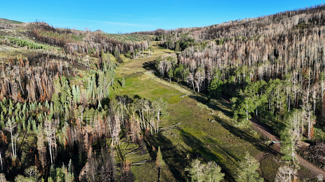 123 Tbd Monroe Canyon Road Monroe, UT 84754 - Photo 2 of 92 Expansive mountain landscape featuring varied tree coverage and open grassy areas under a clear sky