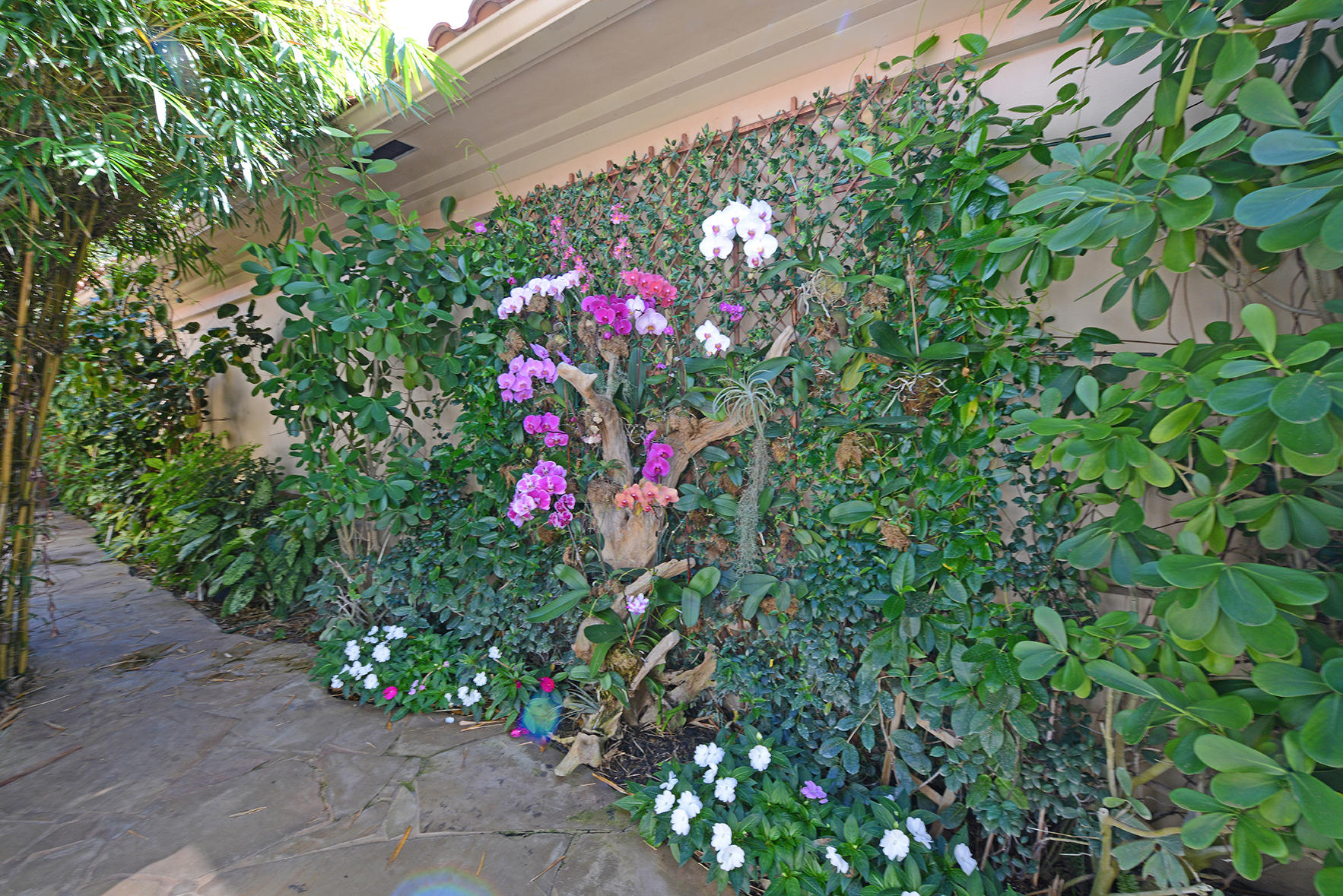 21311 Harrow Court Boca Raton, FL 33433 - Photo 29 of 38 Orchids