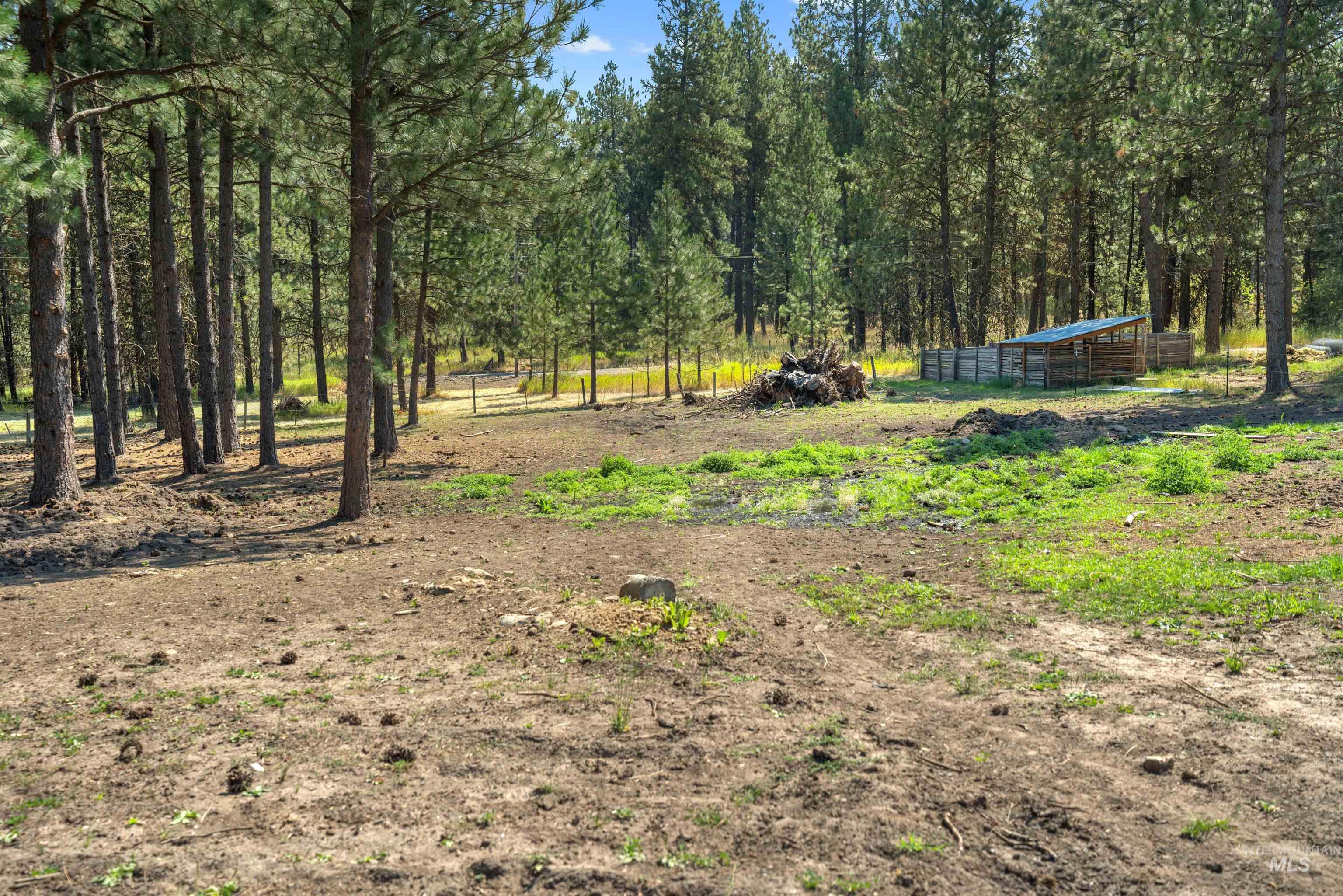 1910 East Mountain Road Anatone, WA 99401 - Photo 34 of 41 Expansive wooded lot featuring mature trees and a fenced enclosure