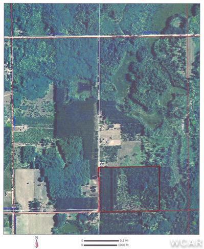 60 East Simpson Road Lake City, MI 49651 - Photo 2 of 2 Additional Photo