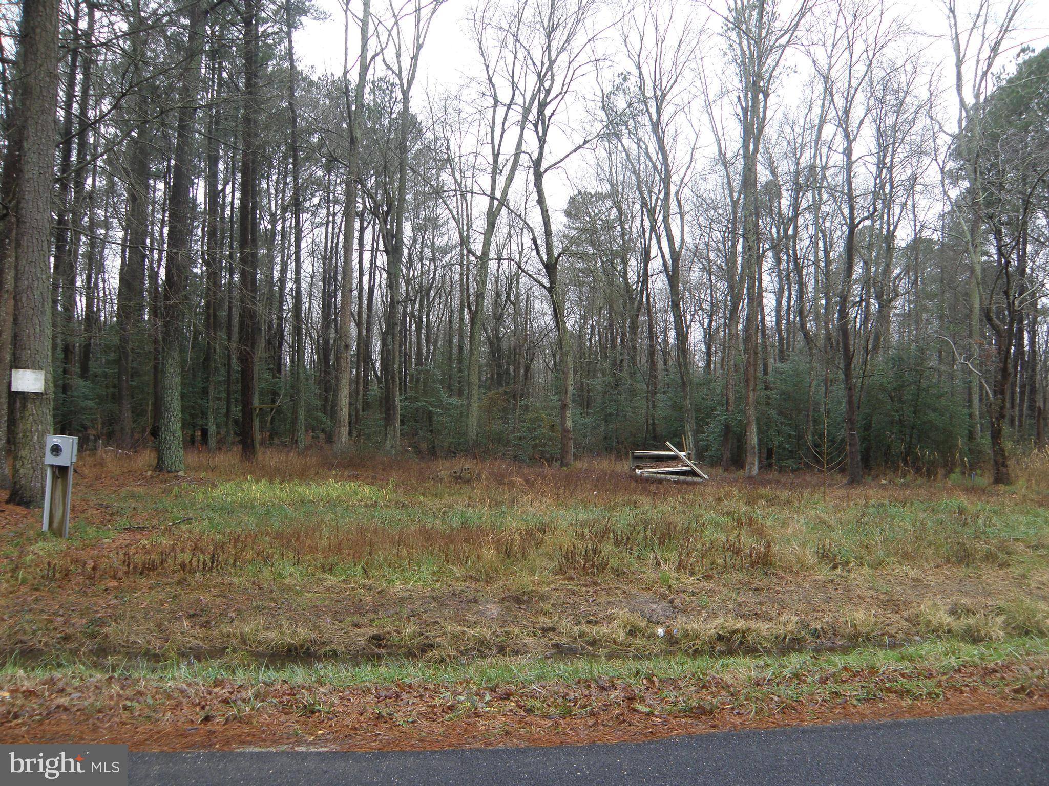 16394 Sam Lucas Road Milton, DE 19968 - Photo 1 of 1 Gallery Image 1