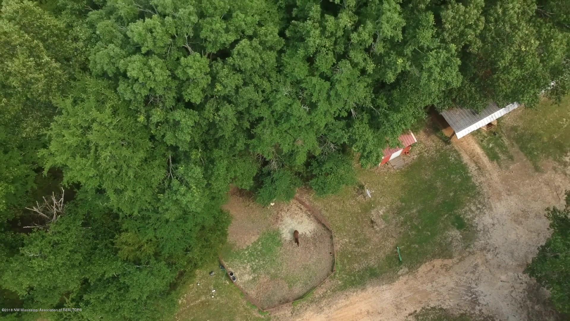 1041 Scott Road Coldwater, MS 38618 - Photo 56 of 62 1041 Scott Rd_Moment 2