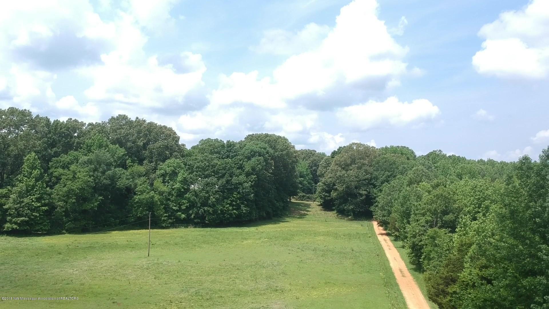 1041 Scott Road Coldwater, MS 38618 - Photo 60 of 62 1041 Scott Rd_Moment 9