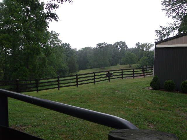 292 Pea Ridge Road Stamping Ground, KY 40379 - Photo 45 of 86 Photo 46
