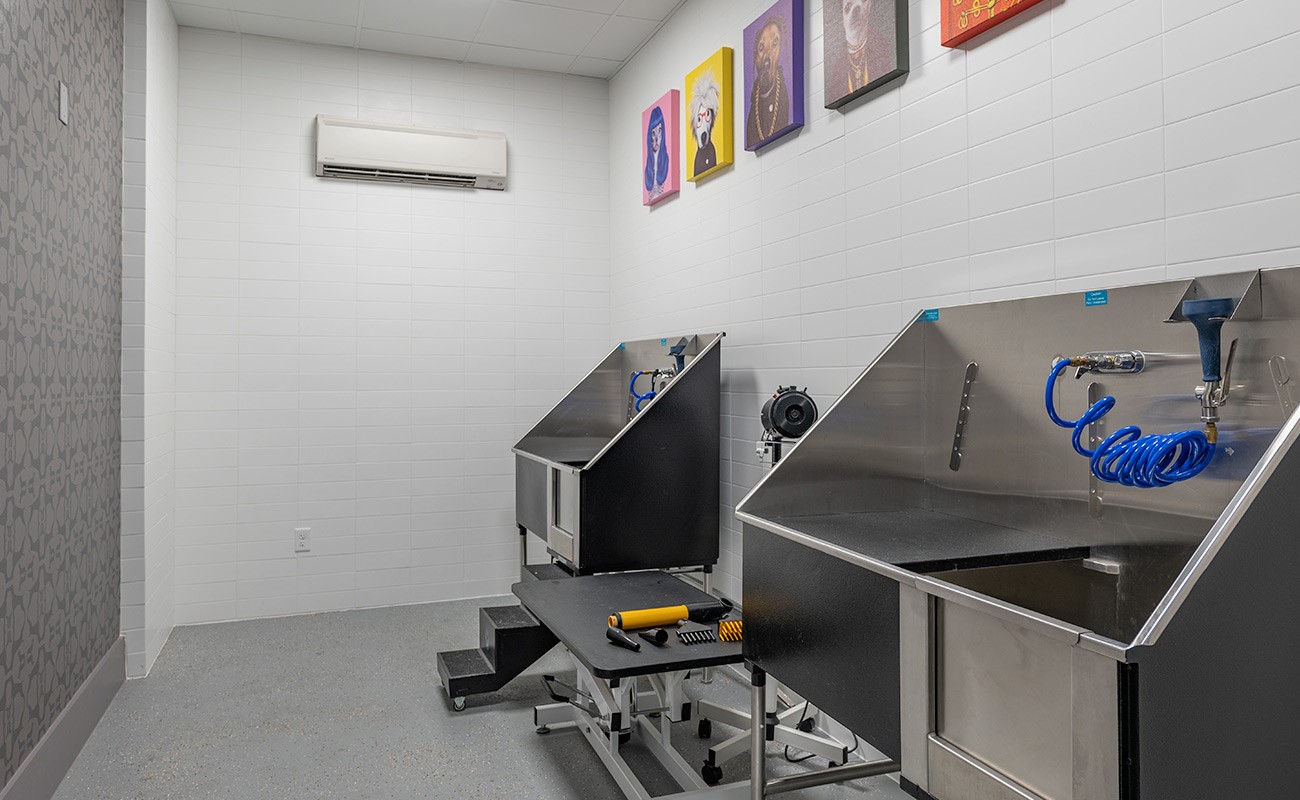 170 Malone Street, Unit 3107 Houston, TX 77007 - Photo 17 of 26 a utility room with dryer and washer