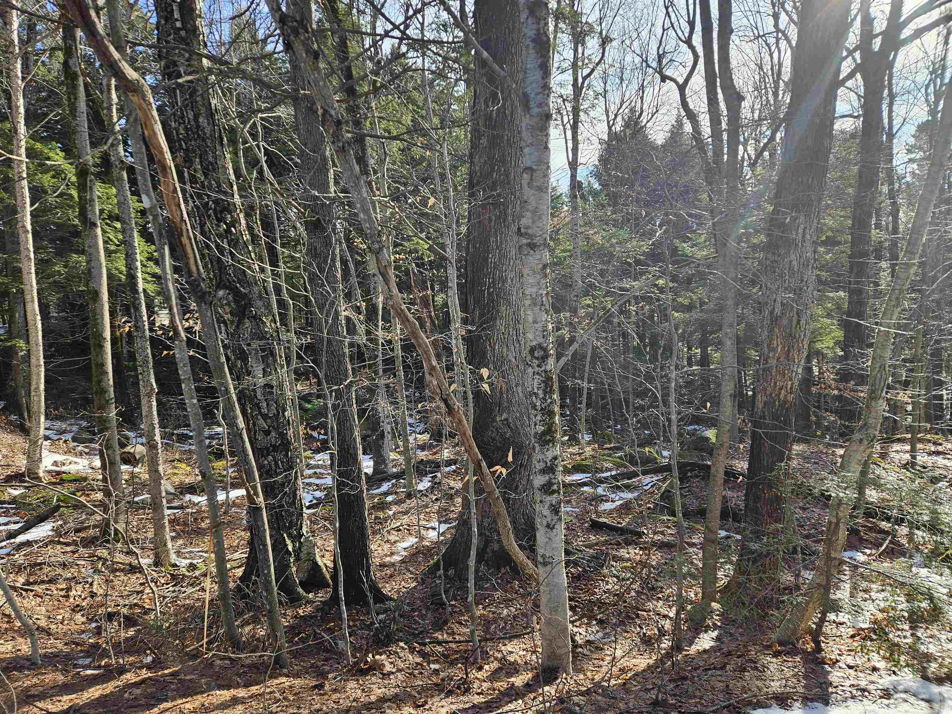 48 Valley Road Tuftonboro, NH 03816 - Photo 3 of 9