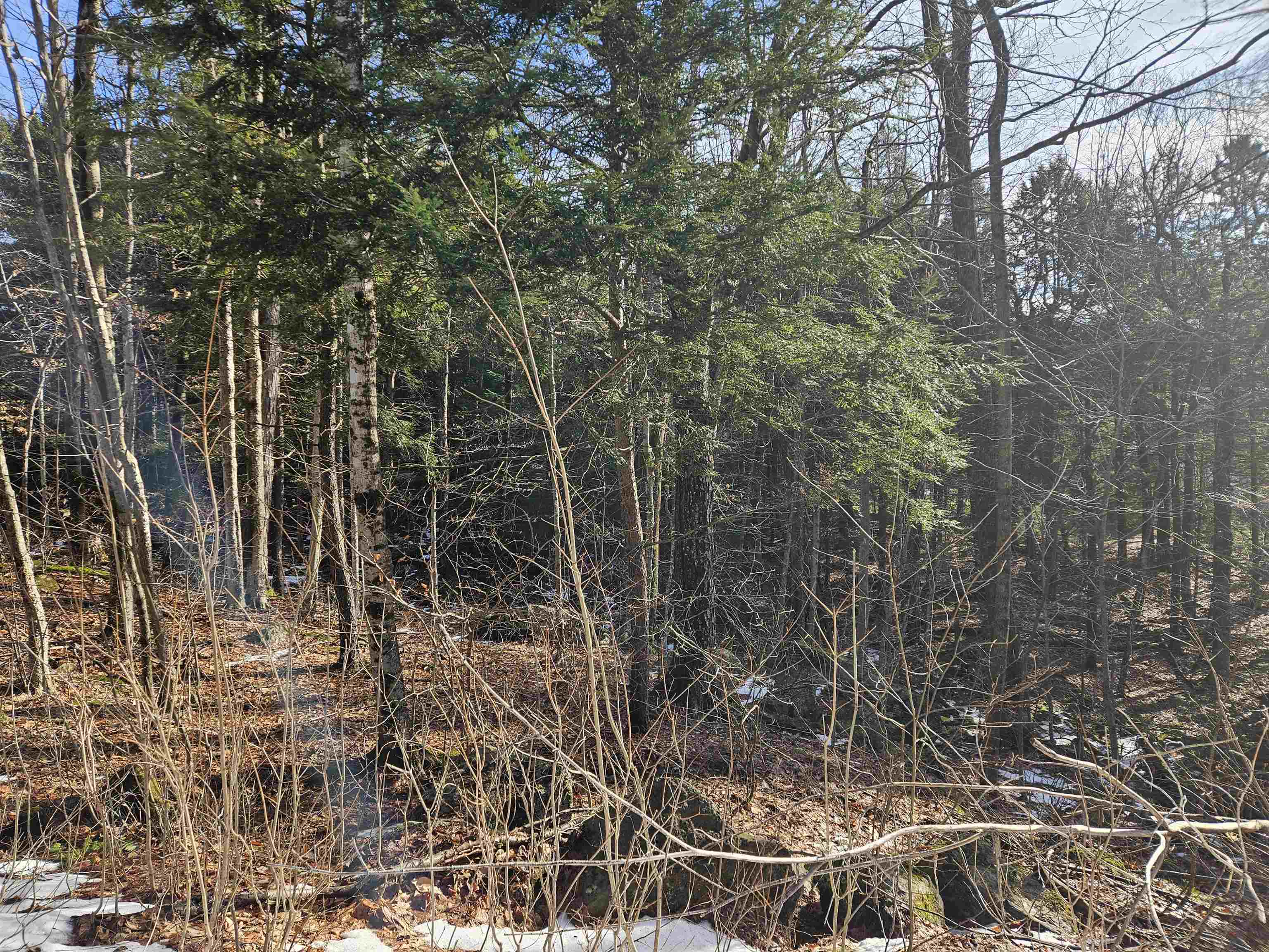 48 Valley Road Tuftonboro, NH 03816 - Photo 4 of 9