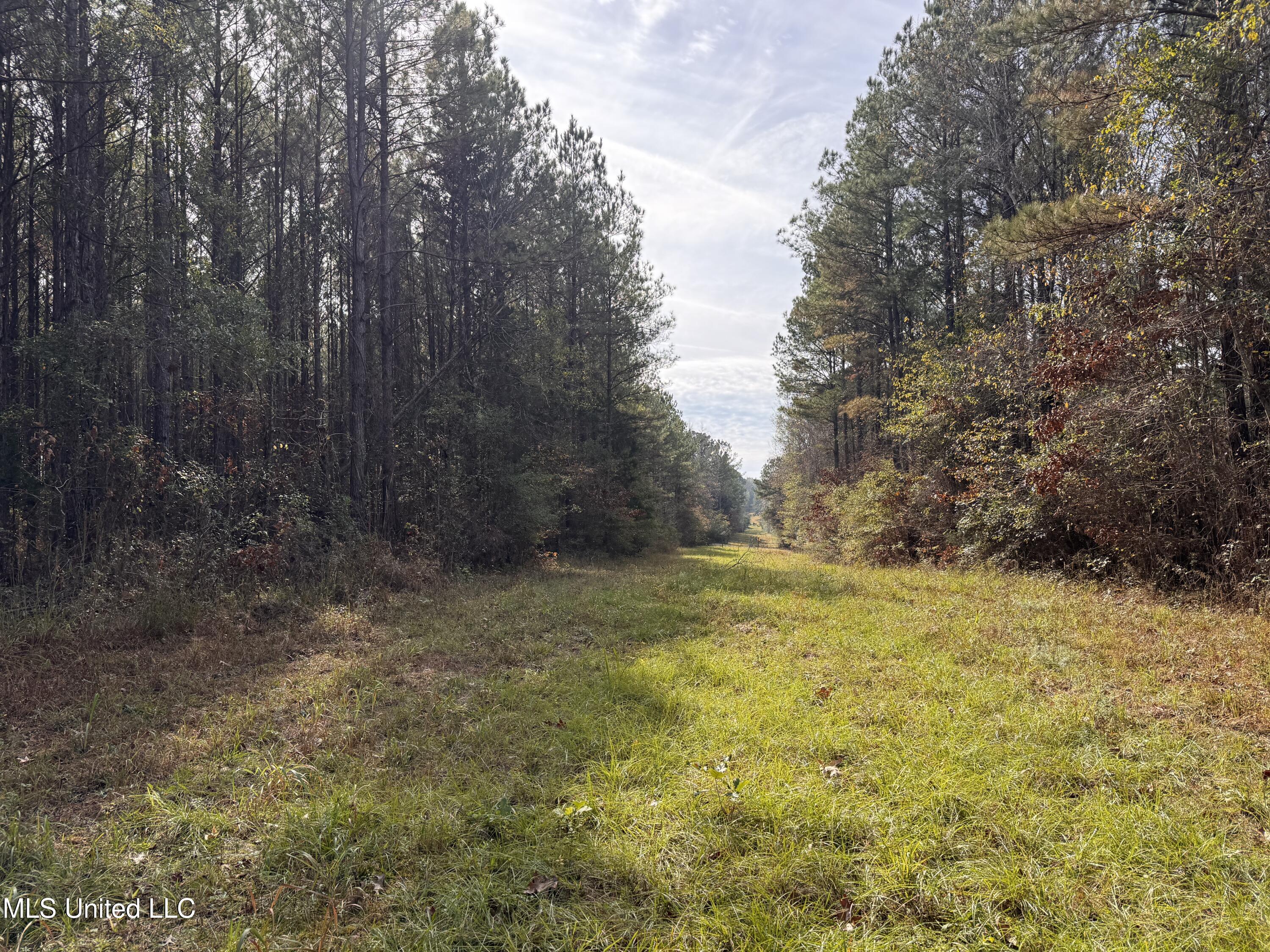 4 Whiddon Road Canton, MS 39046 - Photo 33 of 45 IMG_1651
