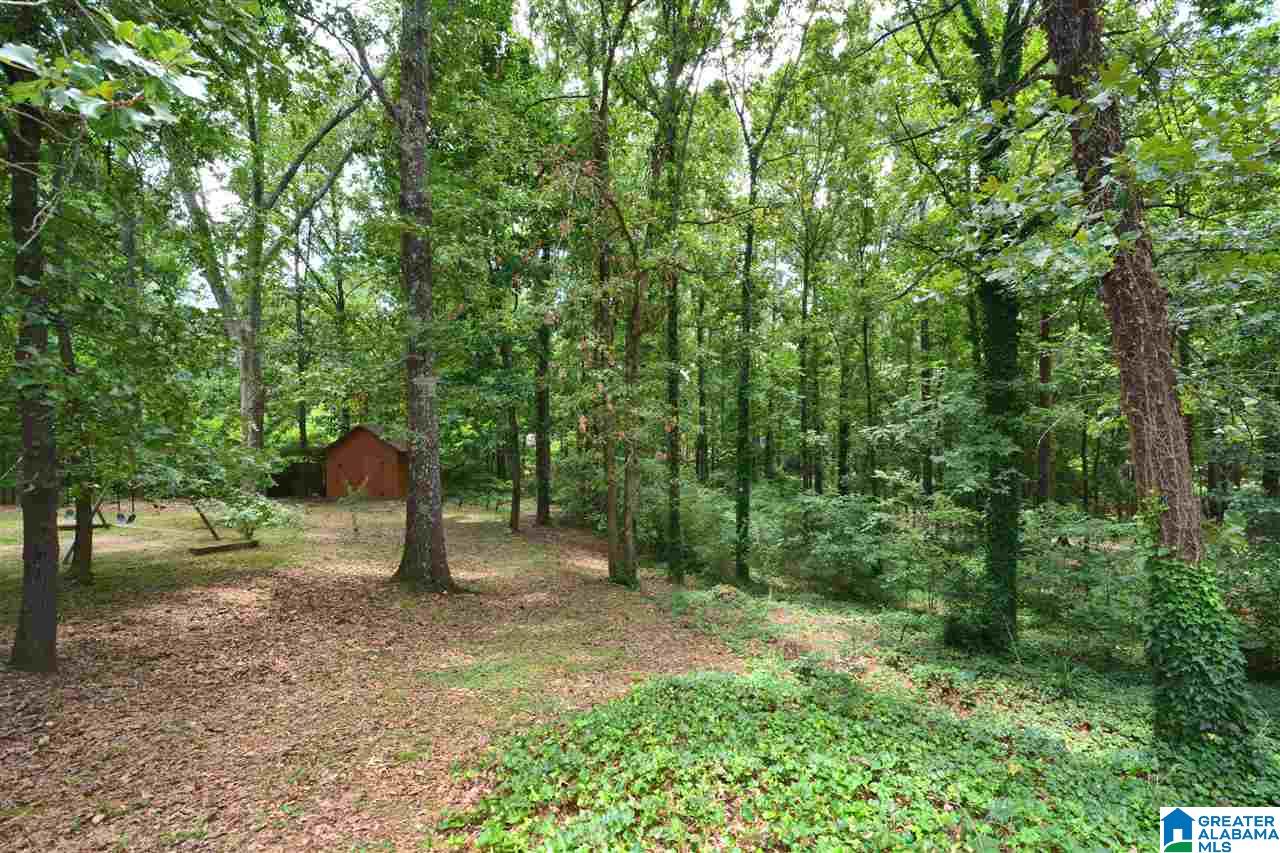 471 New Hope Mtn Road Pelham, AL 35124 - Photo 43 of 45