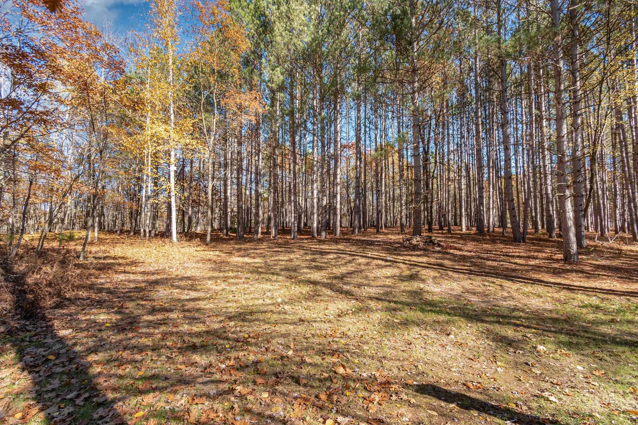 3385 Jones Road Rhodes, MI 48652 - Photo 32 of 56