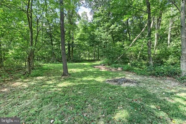 a big yard with lots of green space and trees