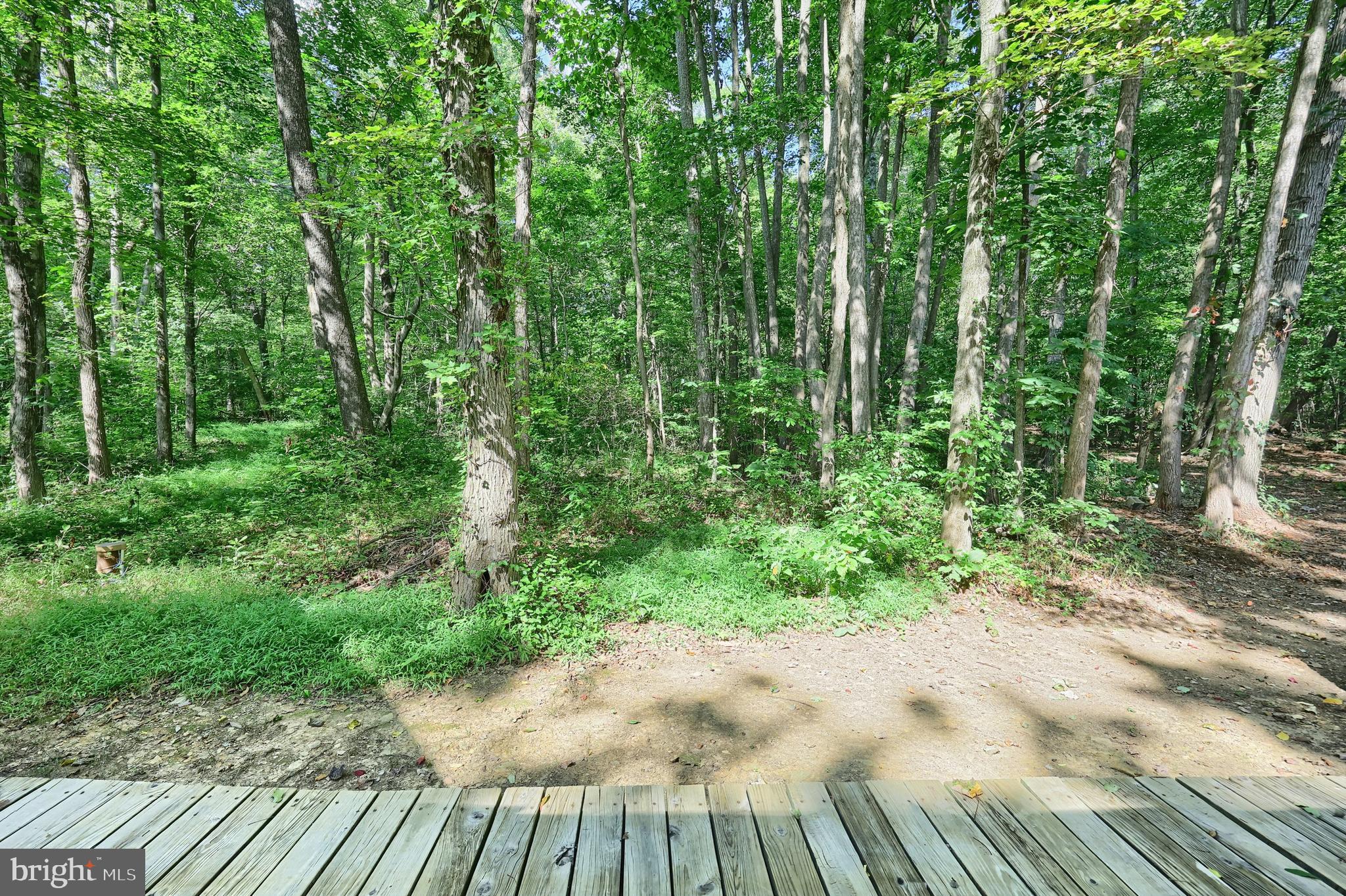 1059 Main St Extension Felton, PA 17322 - Photo 14 of 63 a view of backyard with green space