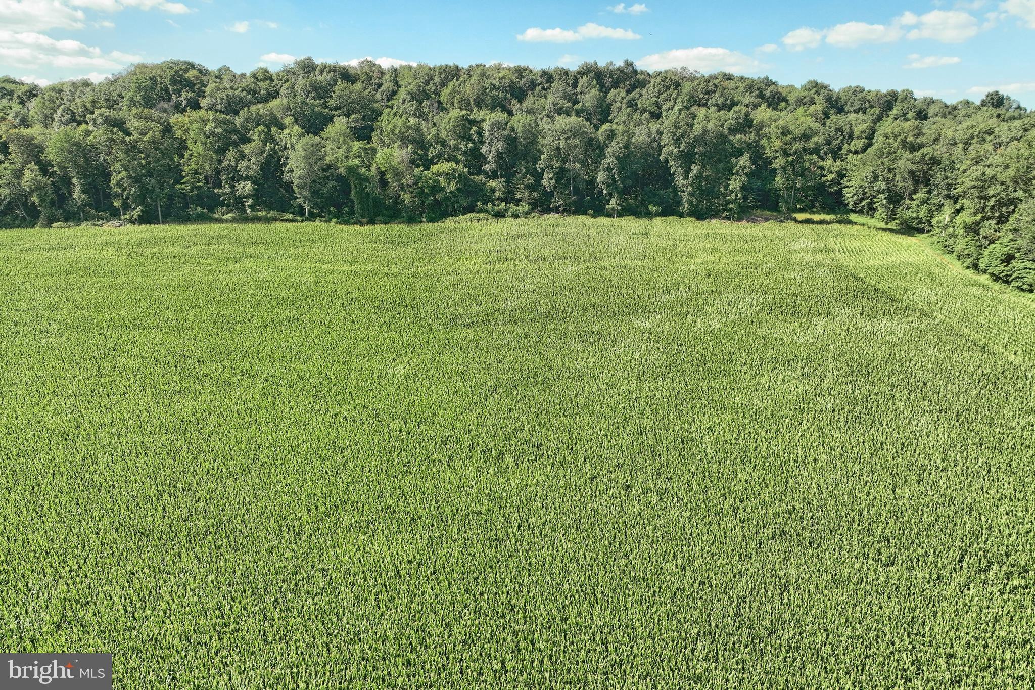1059 Main St Extension Felton, PA 17322 - Photo 58 of 63 a view of a field with a tree in the background