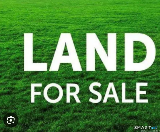 a view of an house with backyard space and garden