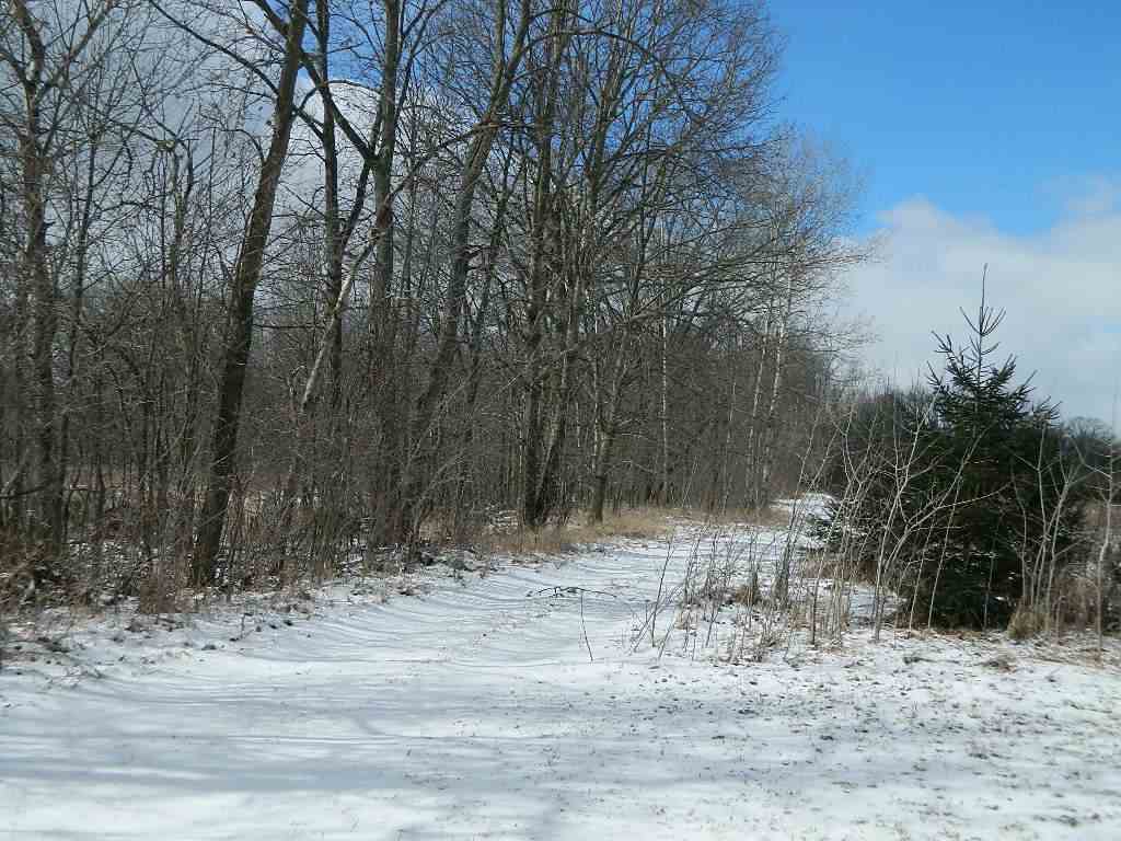 11650 West Remick Road Blanchard, MI 49310 - Photo 37 of 39 1839299-37.JPG