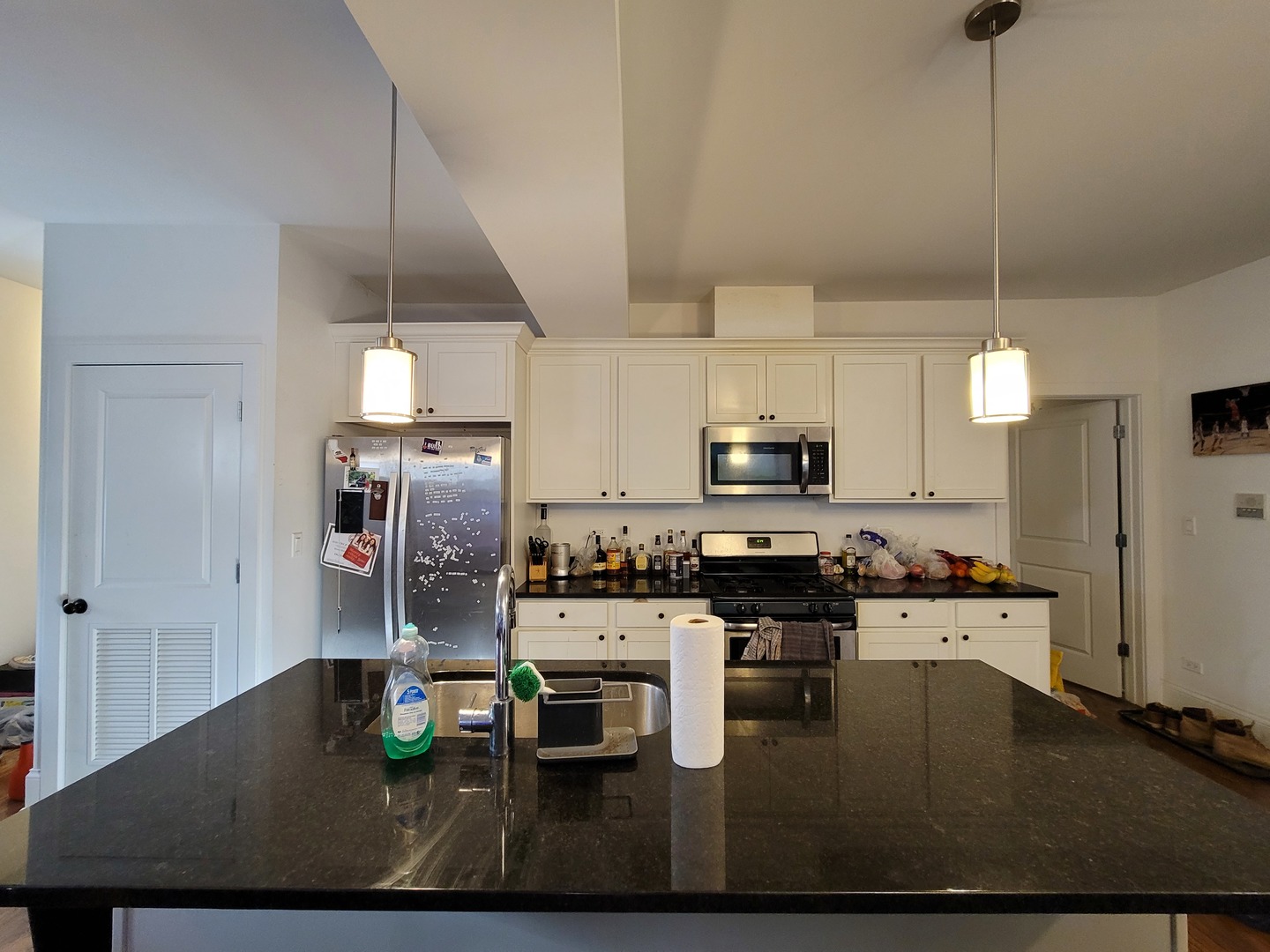 3142 North Racine Avenue, Unit 5 Chicago, IL 60657 - Photo 5 of 24