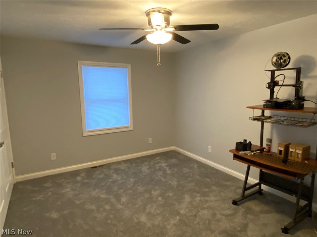 10667 Reed Road Columbia Station, OH 44028 - Photo 19 of 34 Gallery Image 19