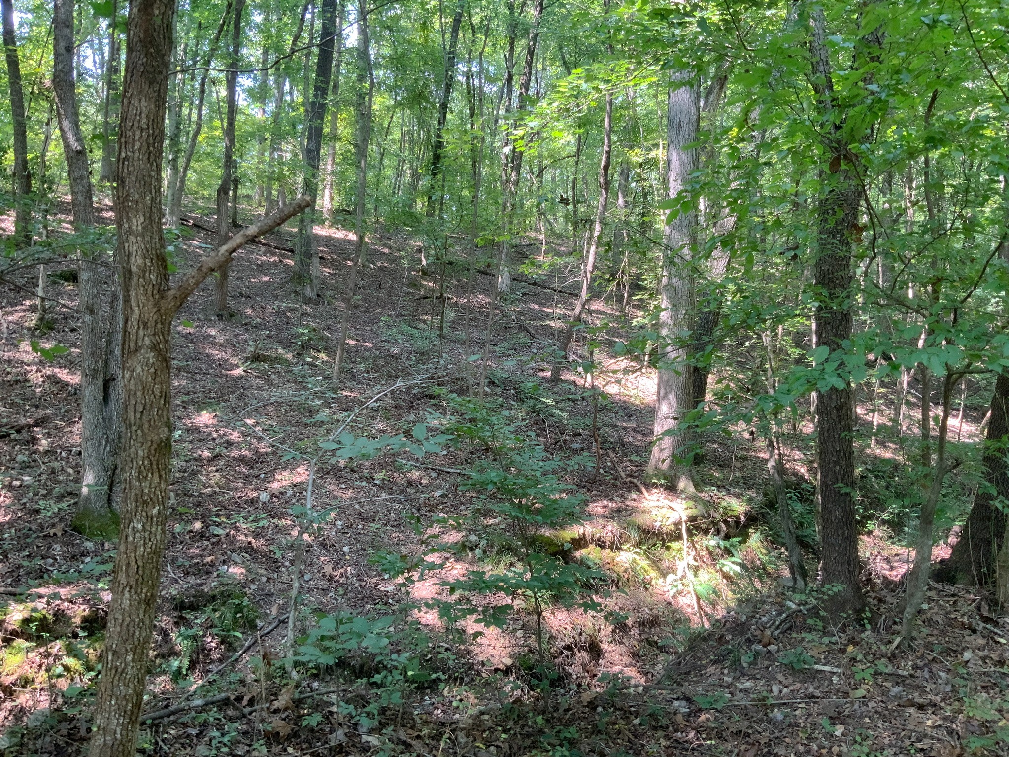 234 Lower Standing Rock Road Dover, TN 37058 - Photo 45 of 68 Gallery Image 45