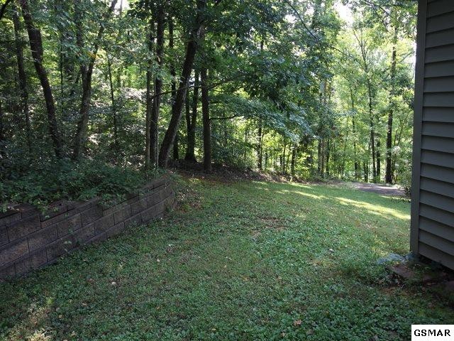 7733 Berry Williams Road Townsend, TN 37882 - Photo 21 of 23 Gallery Image 21