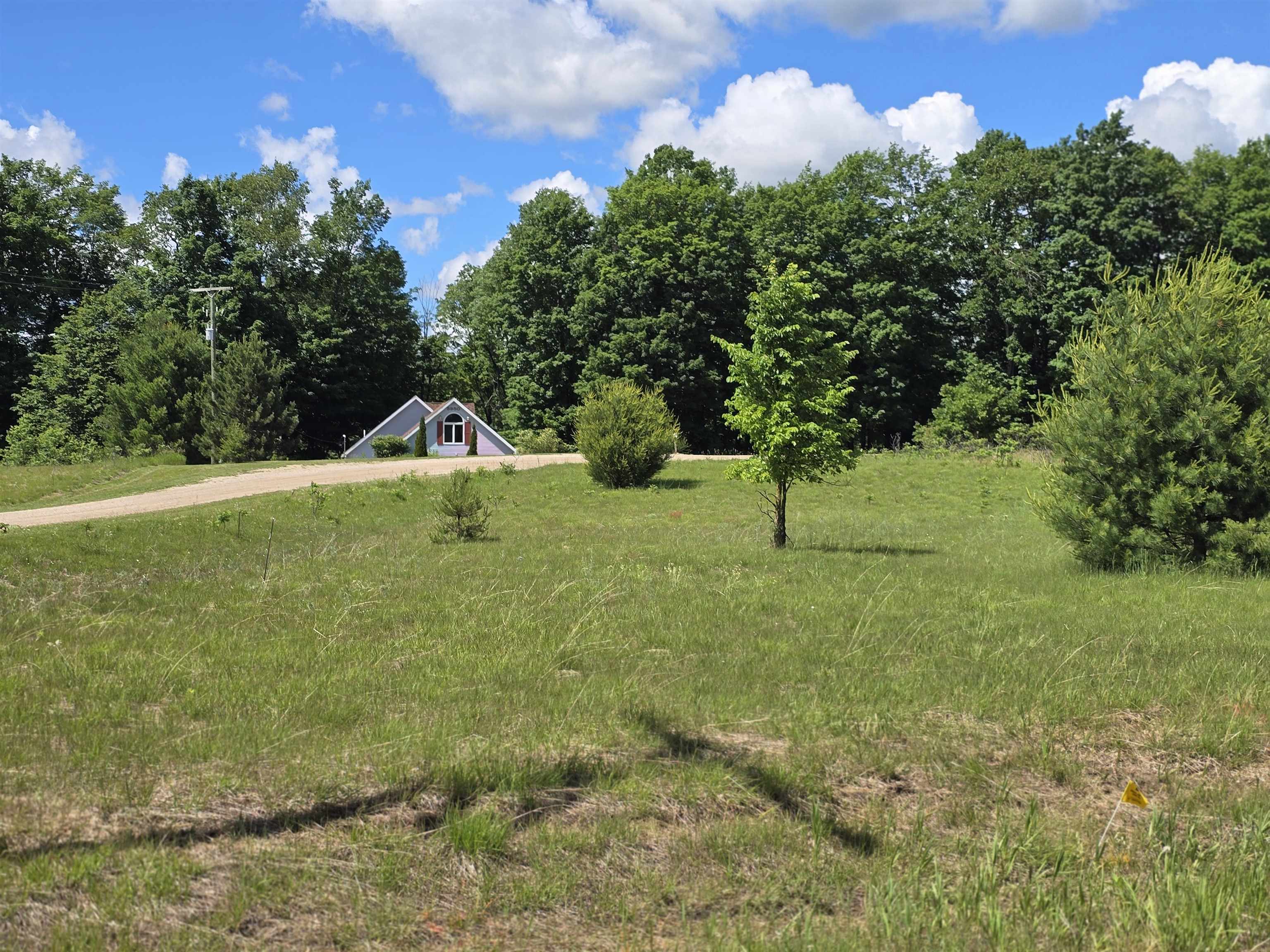 Kay Road Guthrie Road Mesick, MI 49668 - Photo 4 of 10
