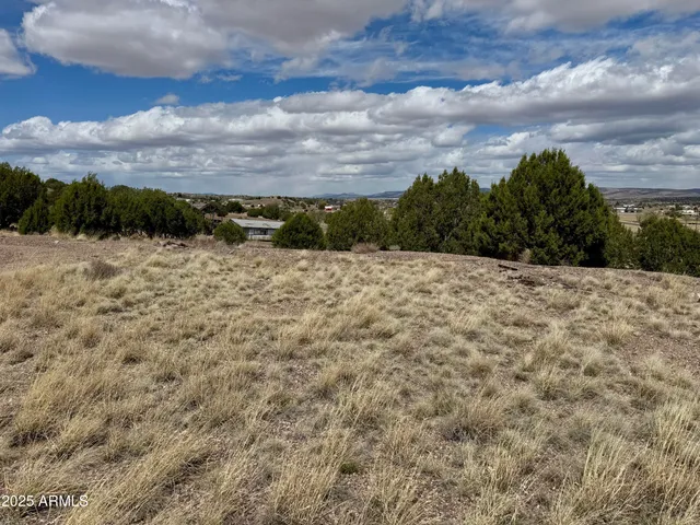 a view of a dry yard with plants