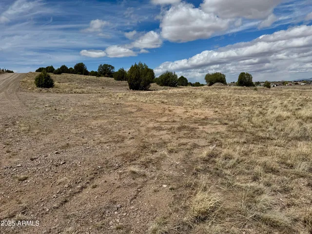 a view of outdoor space with lots of trees in the background