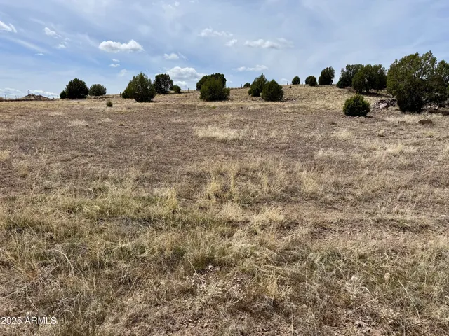 a view of a sky view