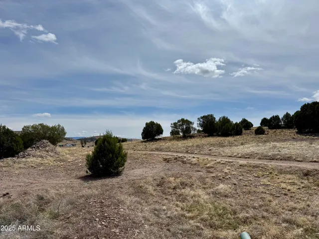 a view of a road with a yard
