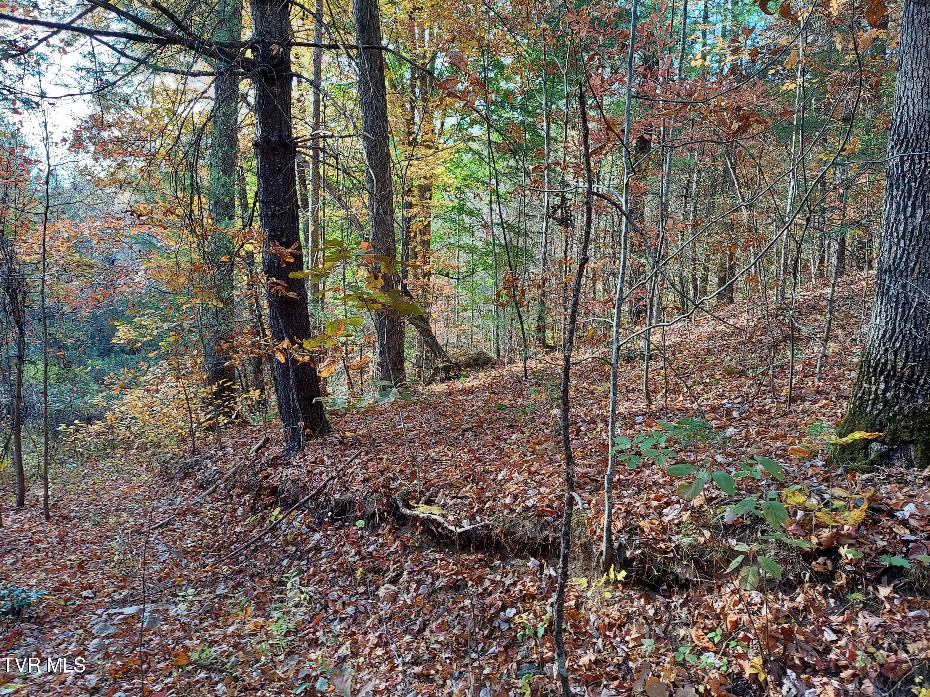 Lot 19 Sugar Maple Way, Unit 19 Del Rio, TN 37727 - Photo 11 of 21 312494936_441079498108377_48070967018371