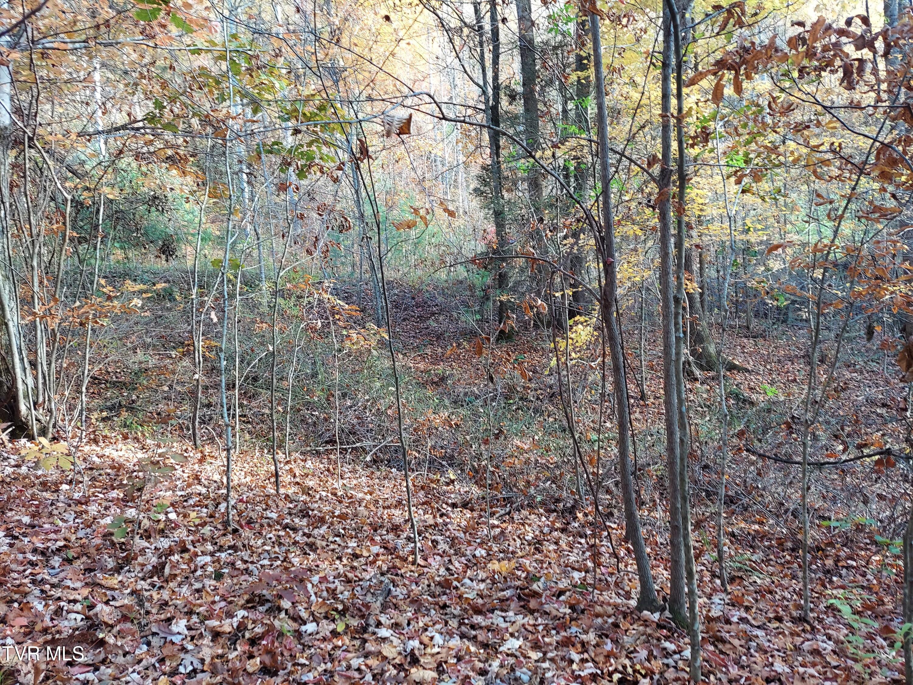 Lot 19 Sugar Maple Way, Unit 19 Del Rio, TN 37727 - Photo 14 of 21 312599193_870683837643312_77496802328881