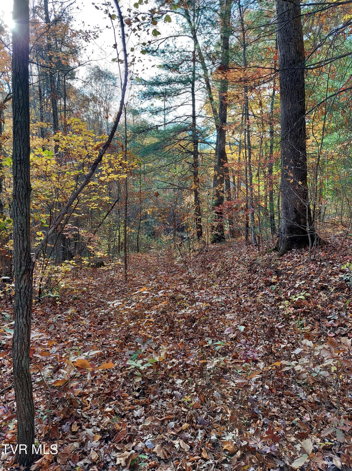 Lot 19 Sugar Maple Way, Unit 19 Del Rio, TN 37727 - Photo 16 of 21 312646403_466211102020398_10382356869665