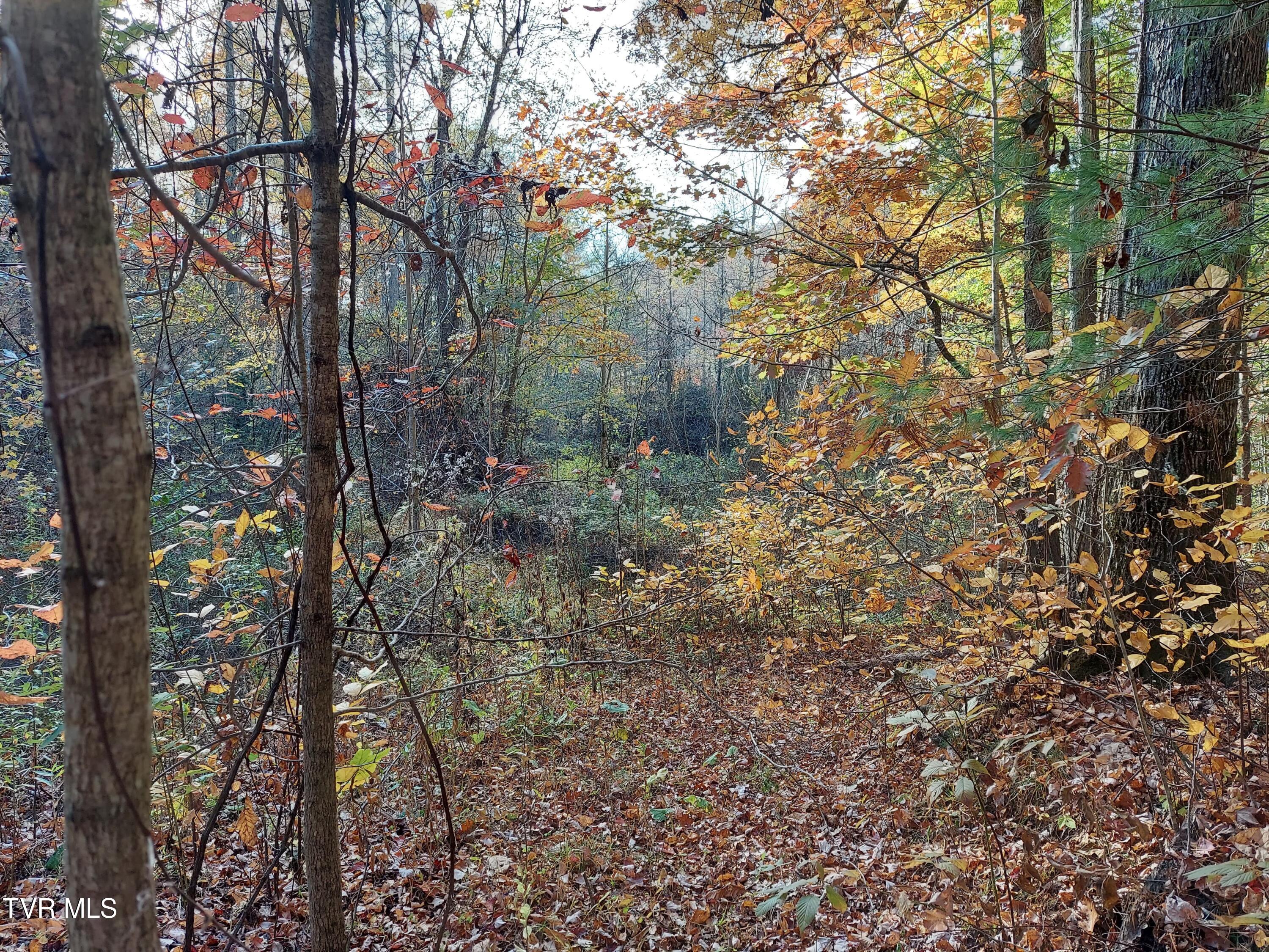 Lot 19 Sugar Maple Way, Unit 19 Del Rio, TN 37727 - Photo 17 of 21 312787414_1105012440154833_6418730676435