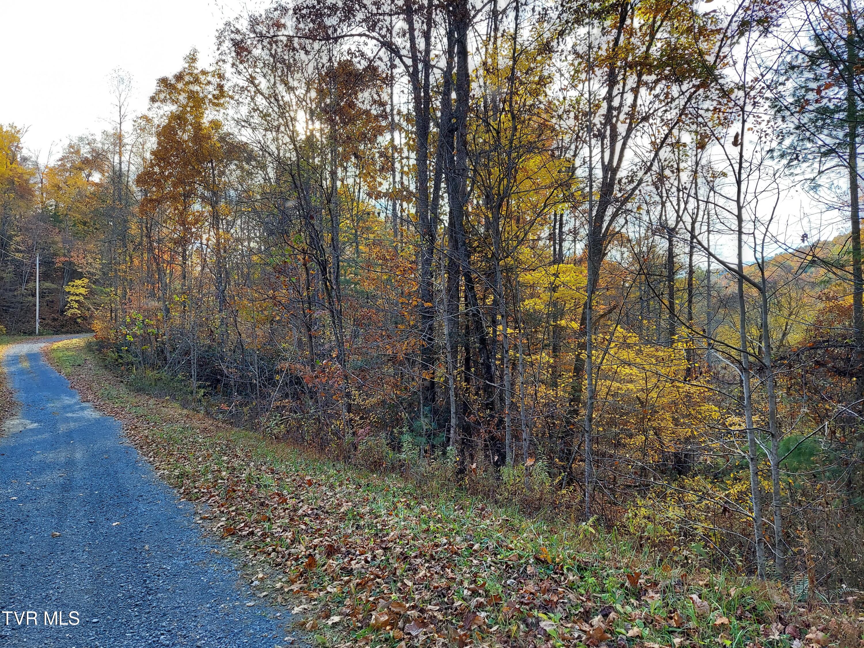 Lot 19 Sugar Maple Way, Unit 19 Del Rio, TN 37727 - Photo 18 of 21 312889487_619388609868979_28365894418620