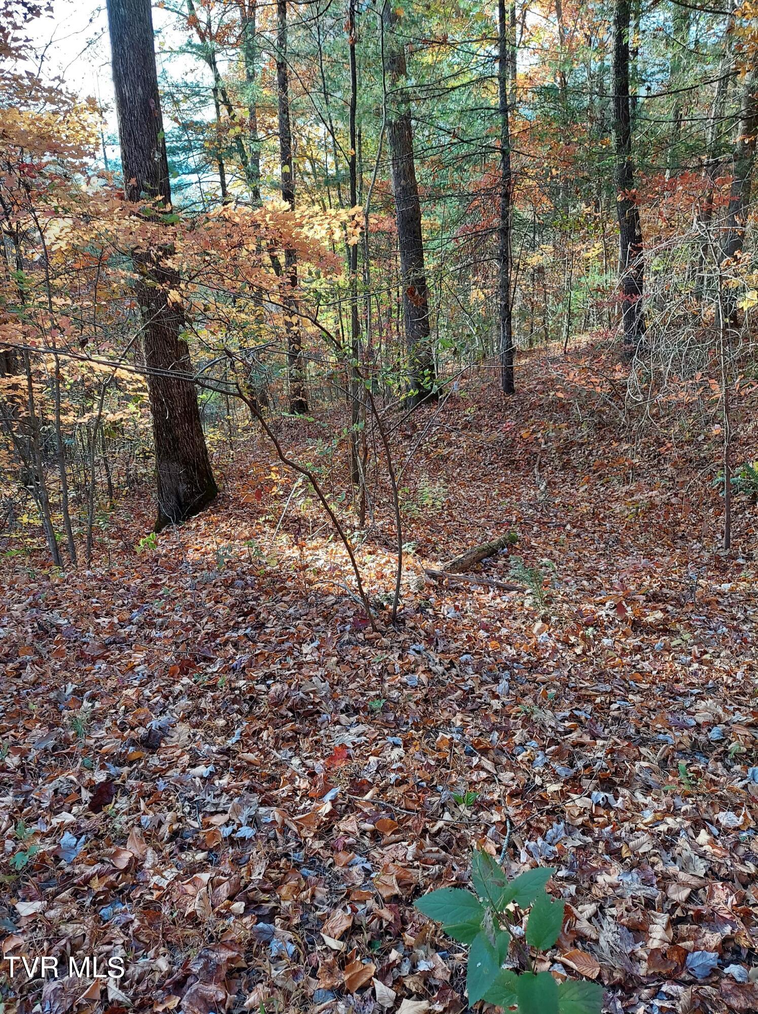 Lot 19 Sugar Maple Way, Unit 19 Del Rio, TN 37727 - Photo 7 of 21 312176651_852134672463945_80751975888690