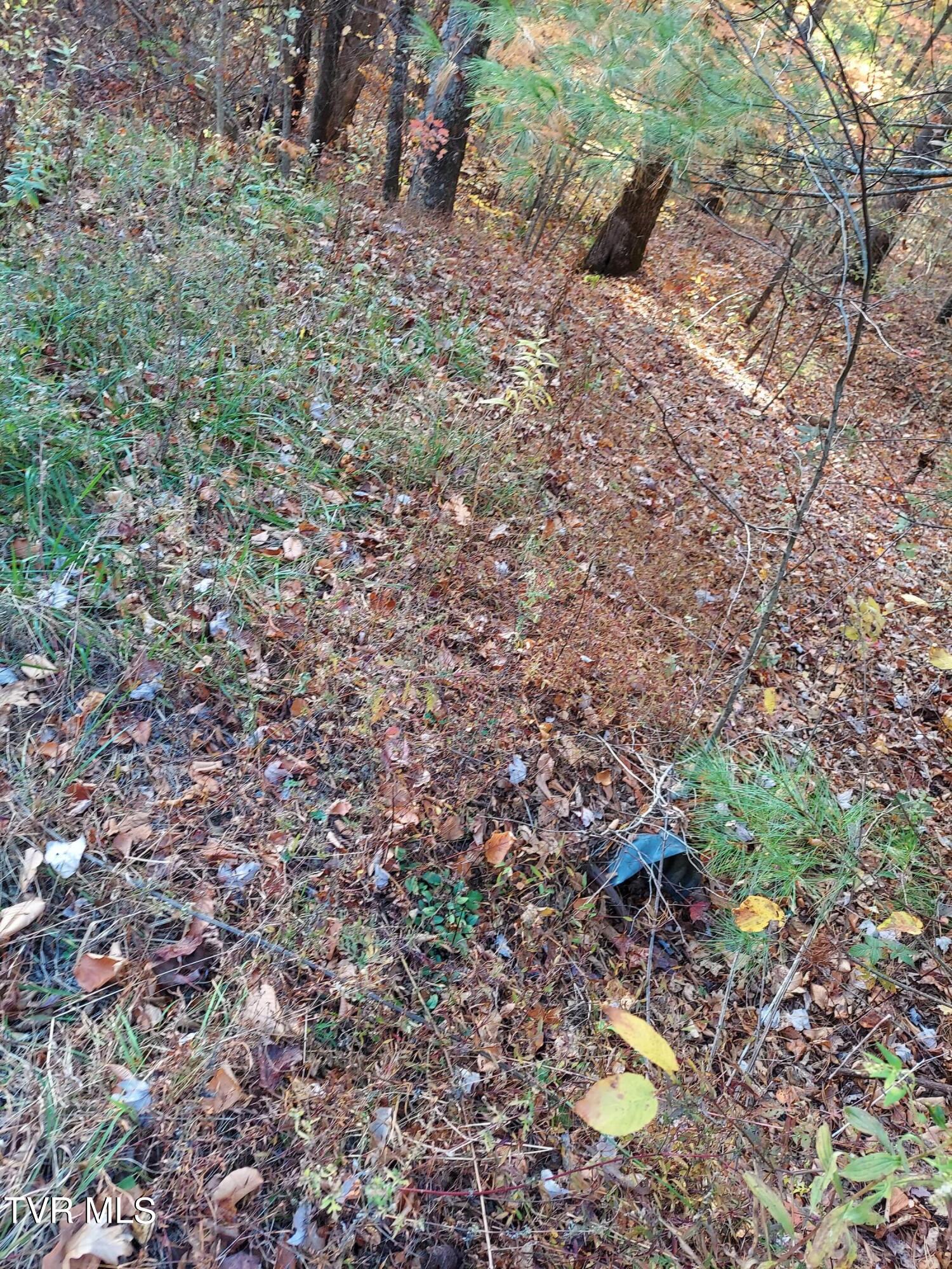 Lot 19 Sugar Maple Way, Unit 19 Del Rio, TN 37727 - Photo 8 of 21 312352198_1569355900187205_6205371398142