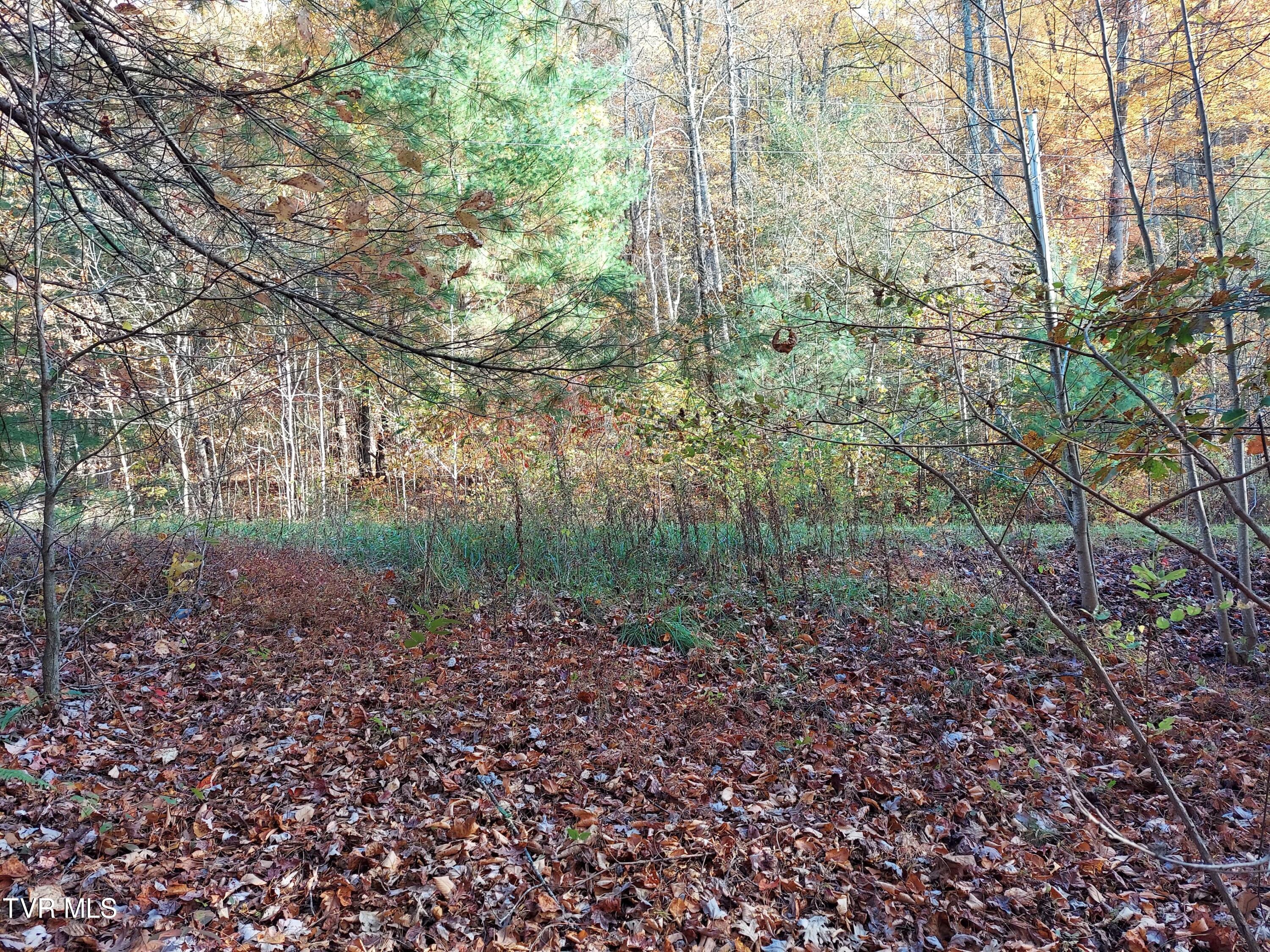 Lot 19 Sugar Maple Way, Unit 19 Del Rio, TN 37727 - Photo 10 of 21 312493994_1563710954082271_6075199824991