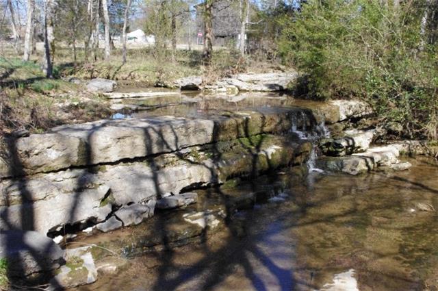 212 Buffalo Road Carthage, TN 37030 - Photo 4 of 15 Creek and water falls at back of home