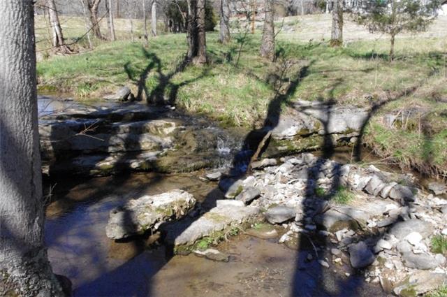 212 Buffalo Road Carthage, TN 37030 - Photo 5 of 15 Creek and water falls at back of home