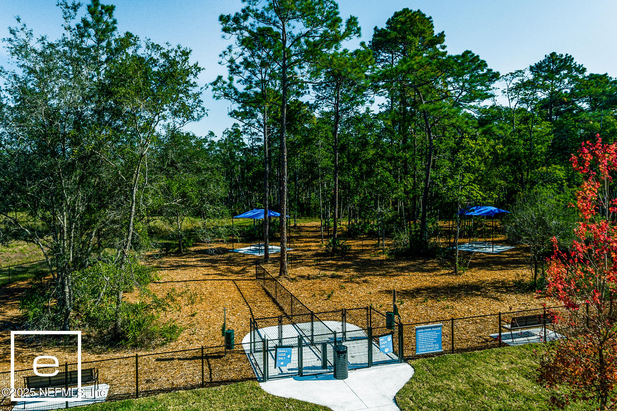 10339 Innovation Way Jacksonville, FL 32256 - Photo 36 of 39 Recharge Dog Parks