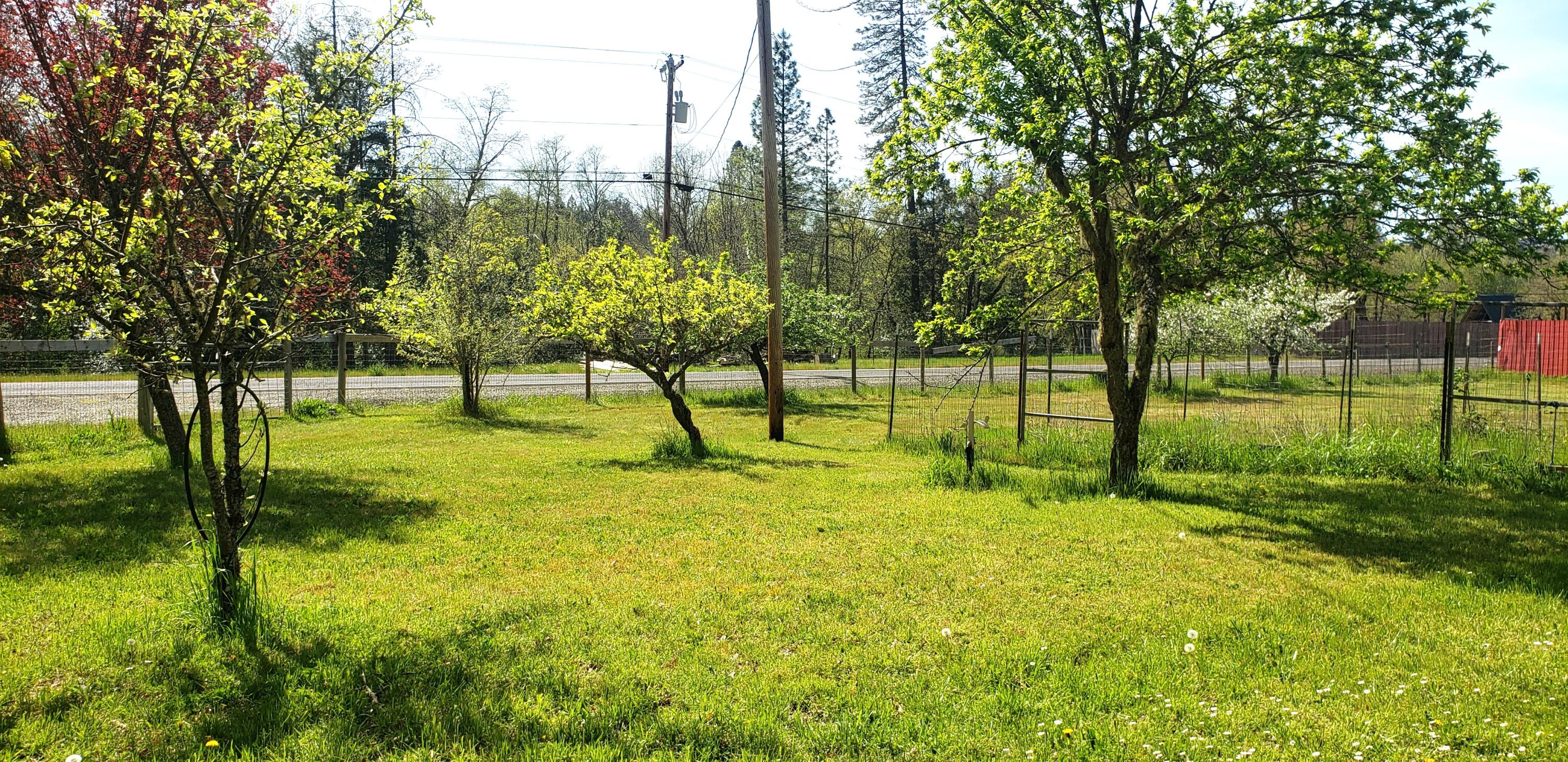 7055 Takilma Road Cave Junction, OR 97523 - Photo 24 of 27 Some fruit trees in this enclosed area.