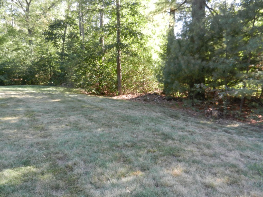 40 Indian Run Road Bellingham, MA 02019 - Photo 15 of 15 a view of a yard with a tree