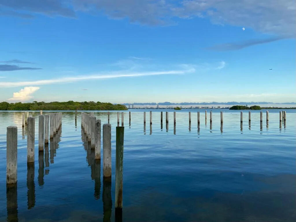 777 Northeast 62nd Street, Unit C512 Miami, FL 33138 - Photo 32 of 40 a view of wooden floor with a lake