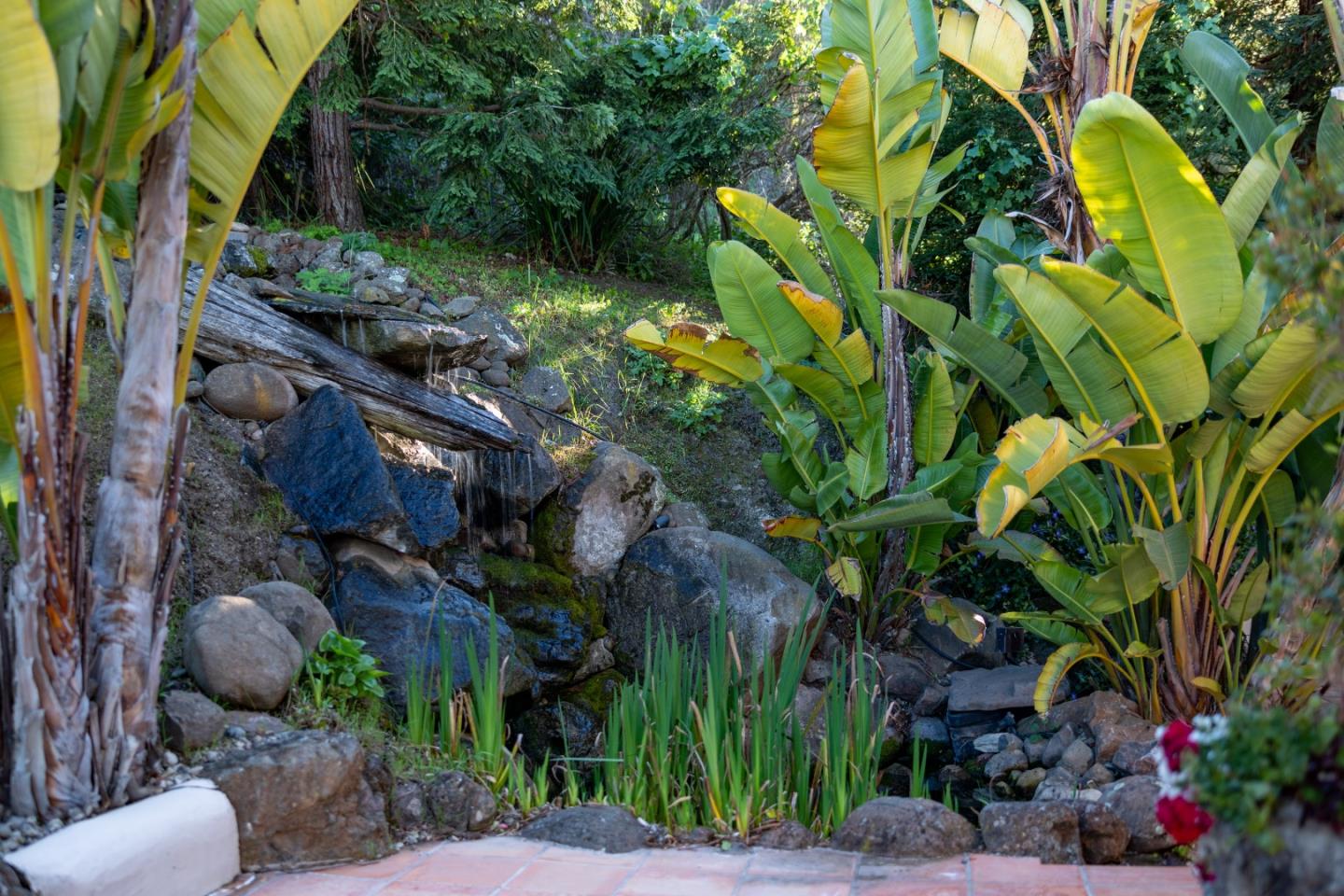 11550 Spur Road Monterey, CA 93940 - Photo 21 of 60 a backyard of a house with lots of green space