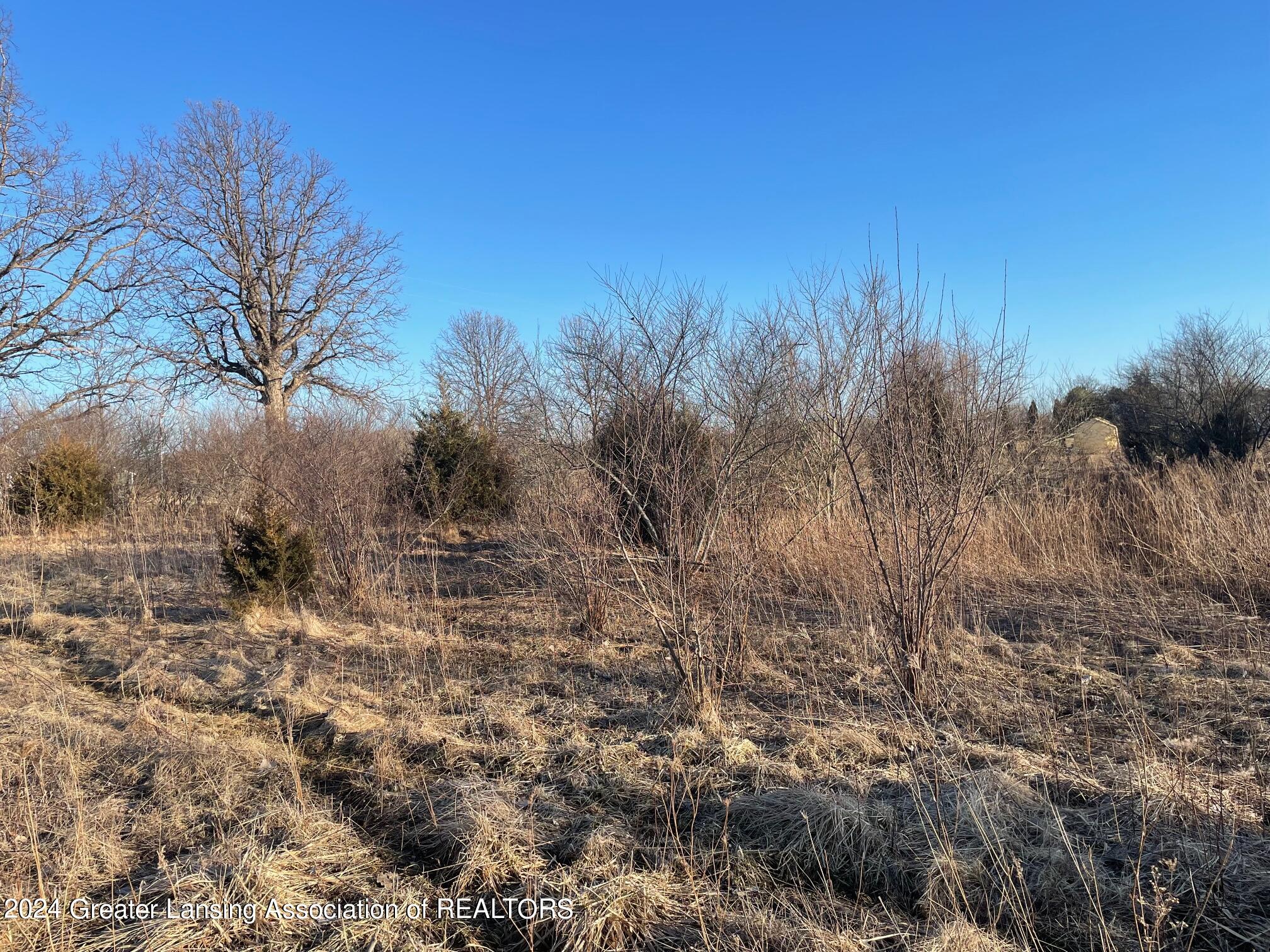 Na Lemon Road Bancroft, MI 48414 - Photo 4 of 10 image_3
